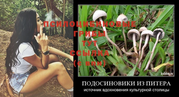 a pvp Богородицк