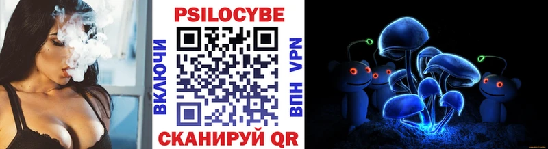 Галлюциногенные грибы Psilocybine cubensis Калининск
